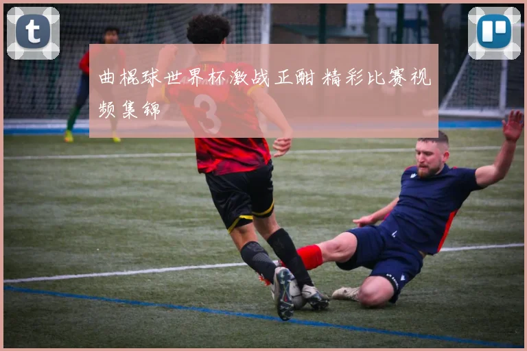 曲棍球世界杯激战正酣 精彩比赛视频集锦