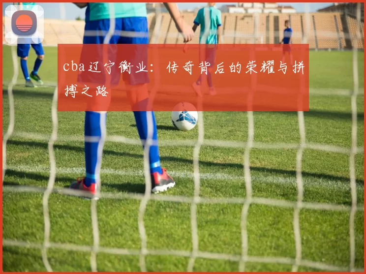 cba辽宁衡业：传奇背后的荣耀与拼搏之路