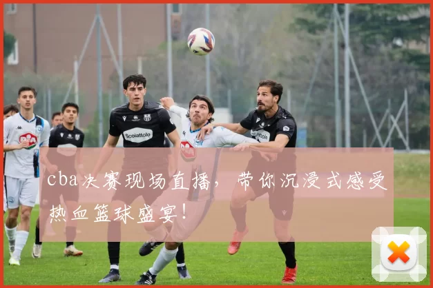 cba决赛现场直播,带你沉浸式感受热血篮球盛宴!