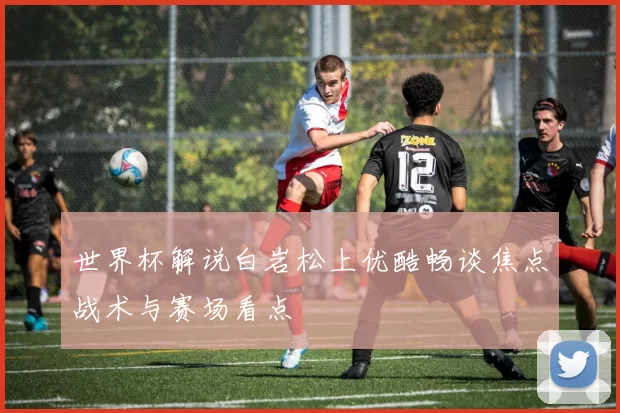 世界杯解说白岩松上优酷畅谈焦点战术与赛场看点