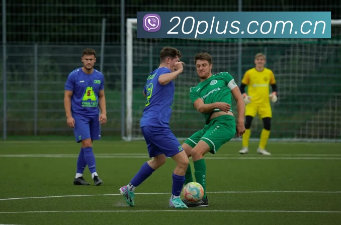 多媒体互动体验